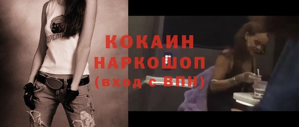 прущие грибы Снежинск