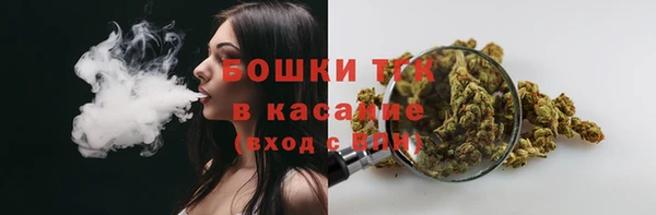 соль курить ск Богданович