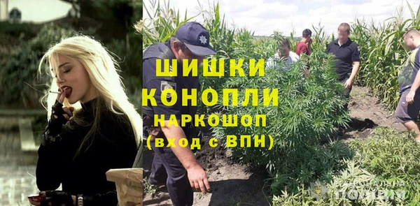 таблы Бородино
